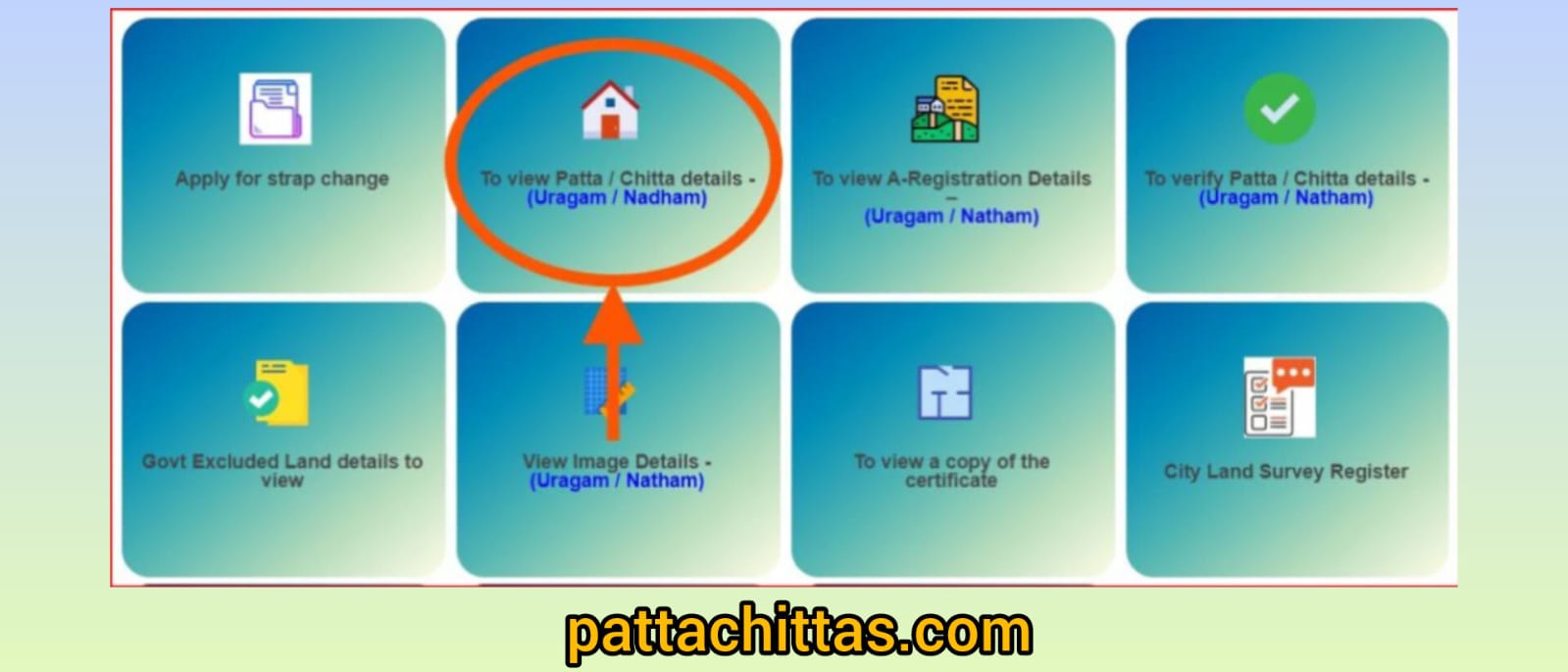 patta chitta land records
